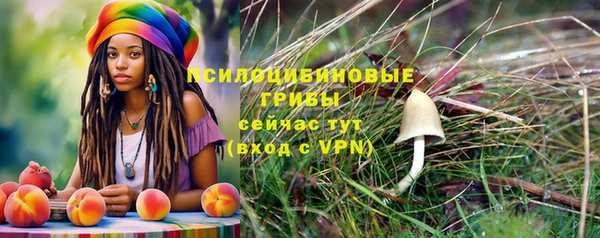 ALPHA-PVP Армянск